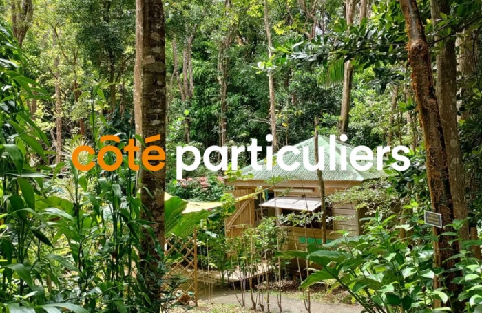 Vente Terrain 5005m&sup2; 9 pi&egrave;ces Pointe-Noire