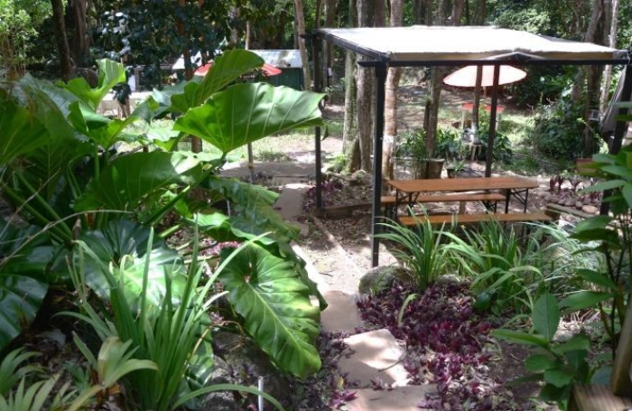 Vente Terrain 5005m&sup2; 9 pi&egrave;ces Pointe-Noire