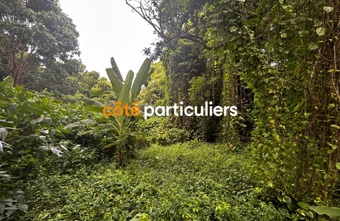 Vente Terrain 3391m&sup2; Sainte Rose