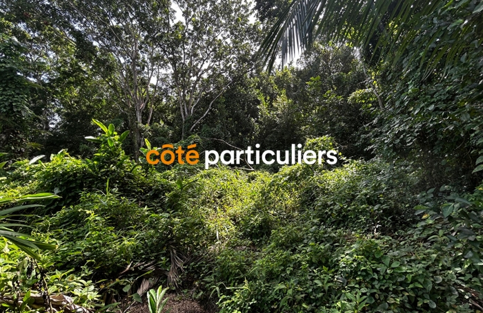 Vente Terrain 3391m&sup2; Sainte Rose