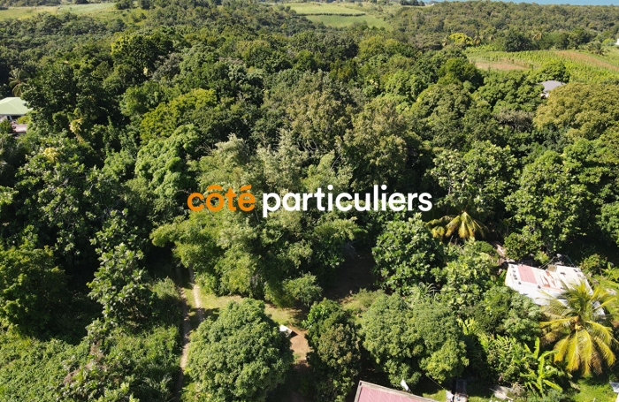 Vente Terrain 3391m&sup2; Sainte Rose