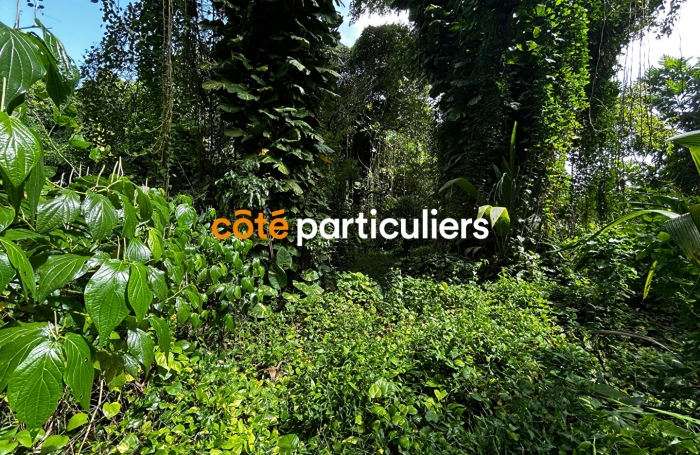 Vente Terrain 3391m&sup2; Sainte Rose