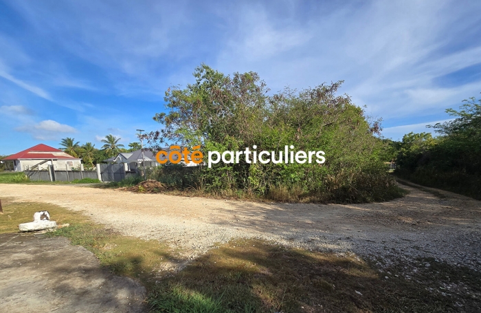 Vente Terrain 