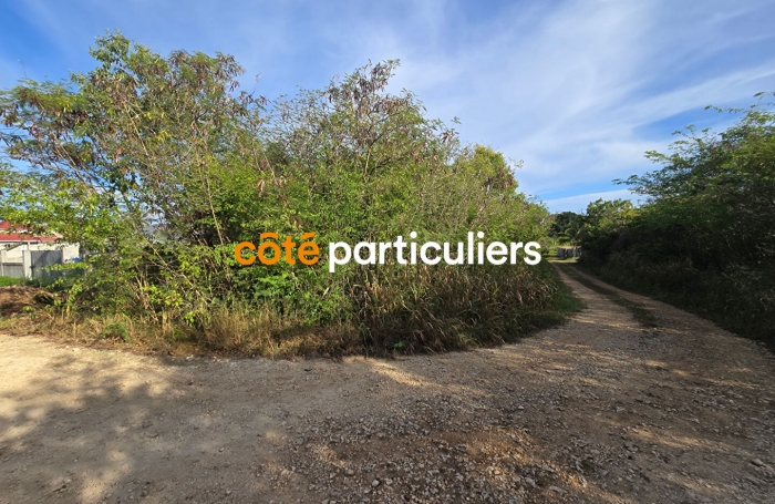 Vente Terrain 1139m&sup2; Anse-Bertrand