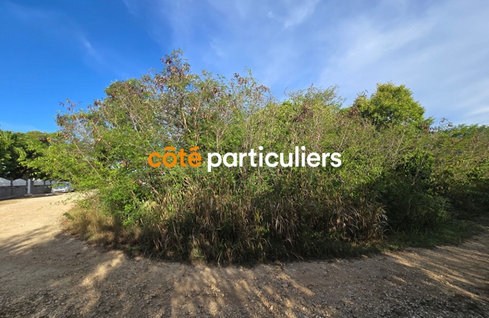 Vente Terrain 1139m&sup2; Anse-Bertrand