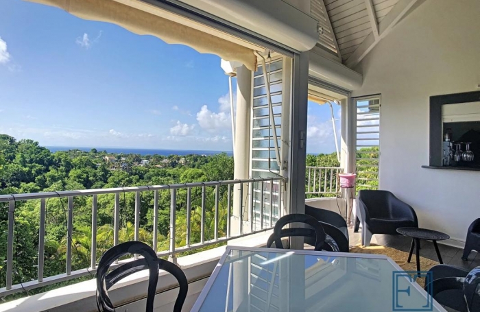 Vente Appartement 97190