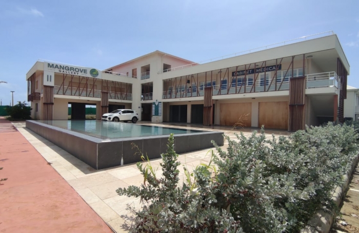 Location Local commercial 97160