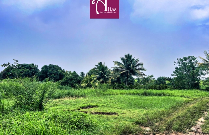 Vente Terrain 97115