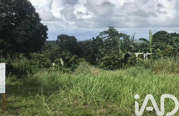 Vente Terrain 97115