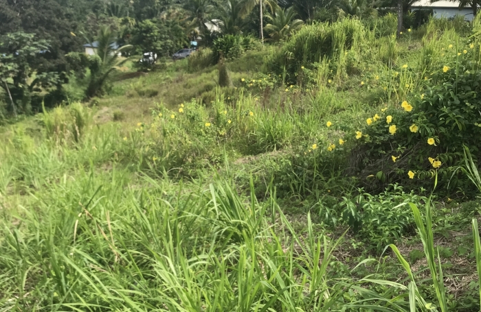 Vente Terrain 1501m&sup2; Sainte Rose