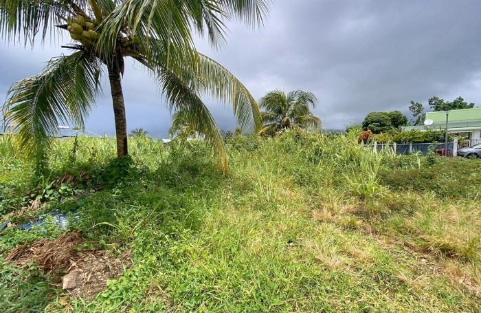 Vente Terrain 500m² Capesterre Belle Eau