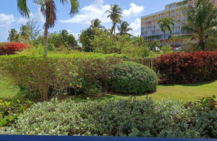 Location Appartement 97190