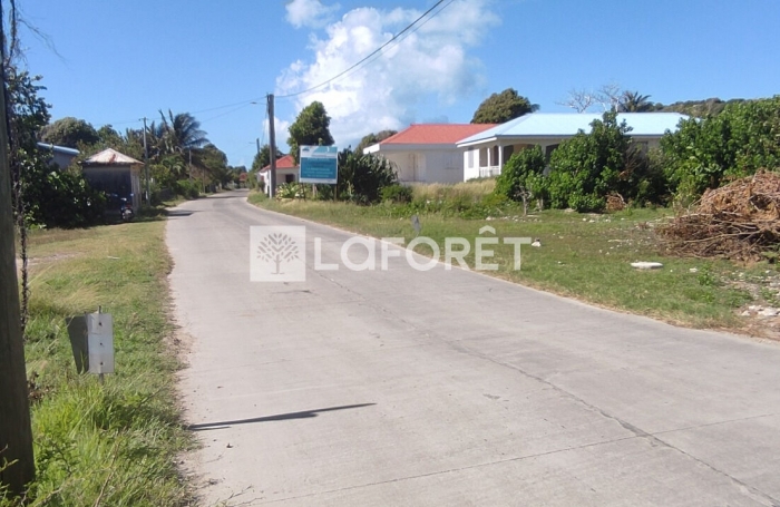 Vente Terrain 2130m² La Désirade