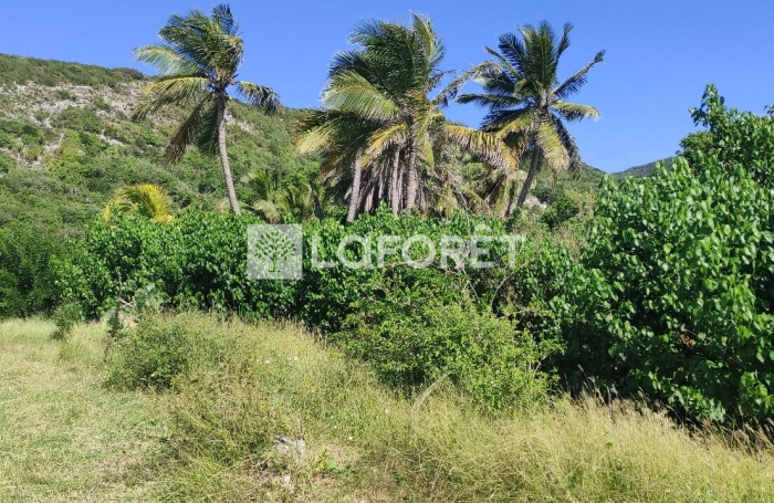 Vente Terrain 2130m² La Désirade