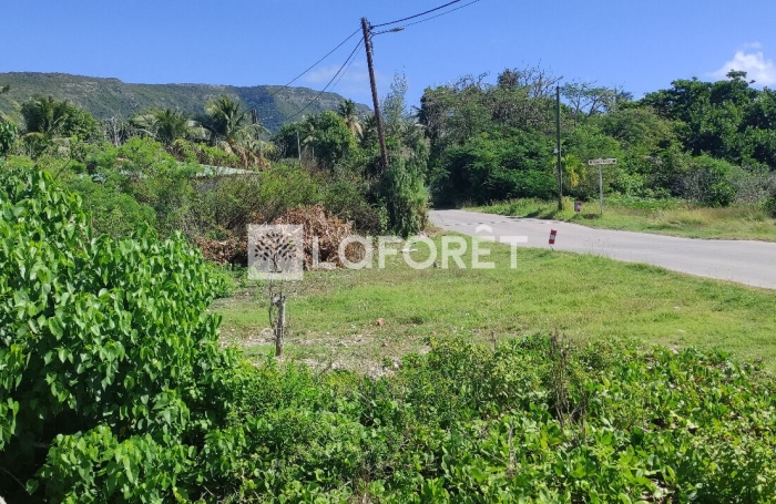 Vente Terrain 2130m² La Désirade