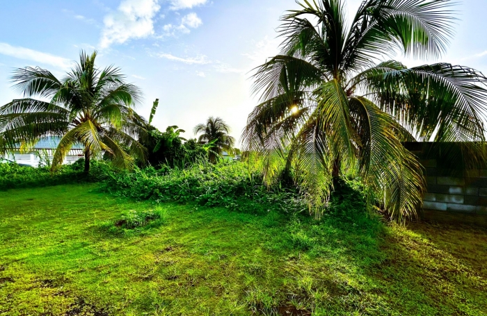 Vente Terrain 500m² Capesterre Belle Eau