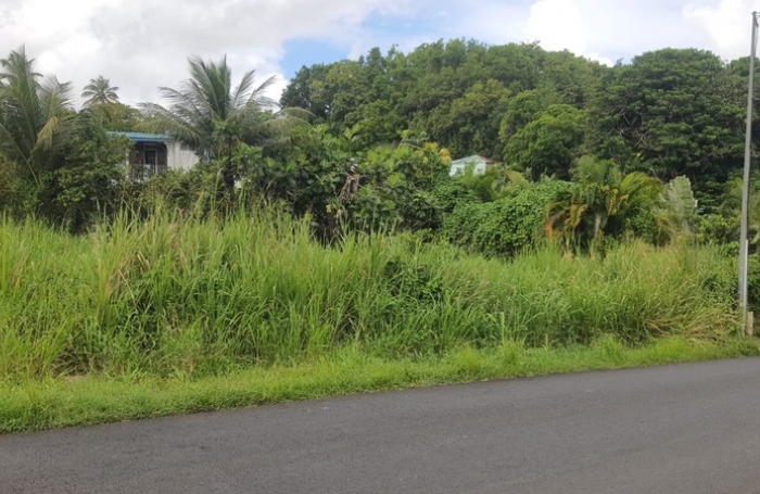 Vente Terrain 669m&sup2; Sainte Anne