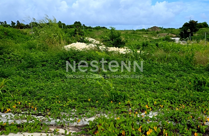 Vente Terrain 768m² Petit-Canal