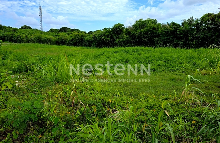 Vente Terrain 768m² Petit-Canal