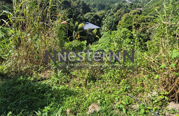 Vente Terrain 1800m² Gosier