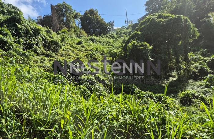 Vente Terrain 1800m² Gosier