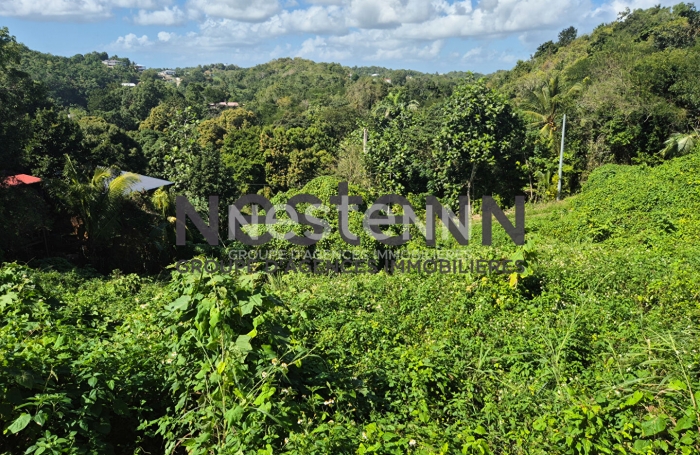 Vente Terrain 1800m² Gosier