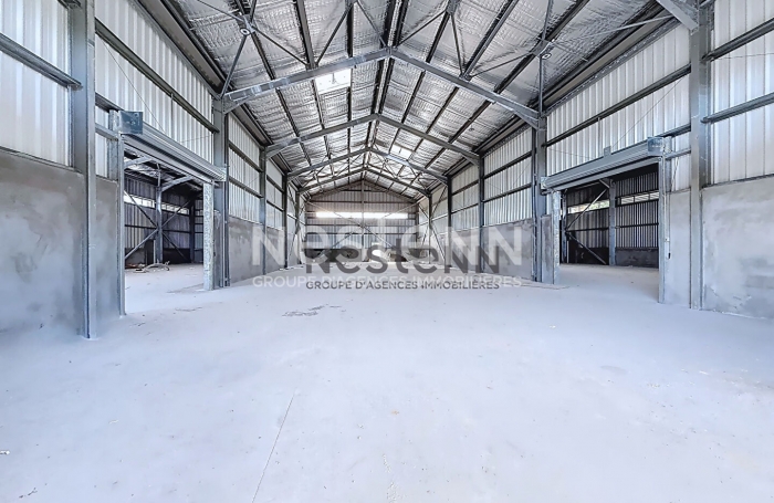 Location Local commercial 391m² Baie Mahault