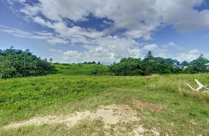 Vente Terrain 5194m² Baie Mahault