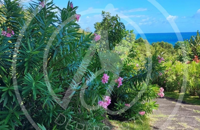 Location Maison 180m&sup2; 5 pi&#232;ces Vieux Fort