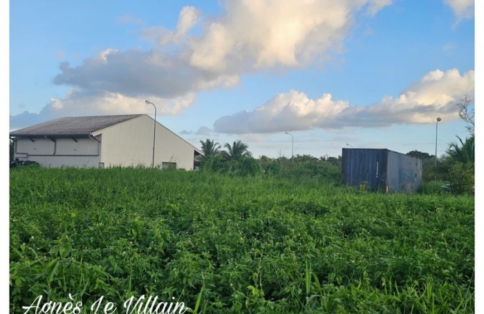 Vente Terrain 1006m&sup2; Sainte Rose