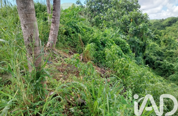 Vente Terrain 900m&sup2; Gosier