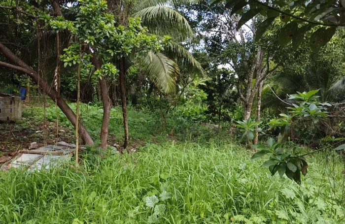 TERRAIN SECTEUR RICHER SAINTE ANNE