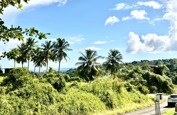 Goyave : terrain à vendre avec Longfort Immobilier
