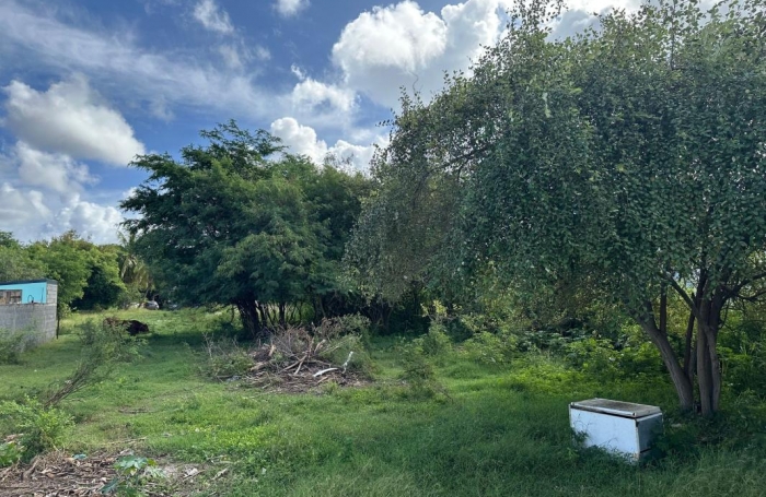 Vente Terrain 540m&sup2; Anse-Bertrand