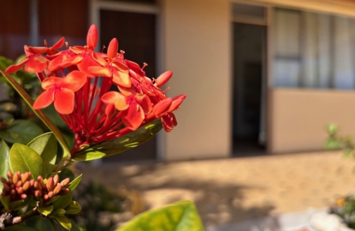 Trois pièces à deux pas de la plage du Souffleur ! Longfort Immobilier