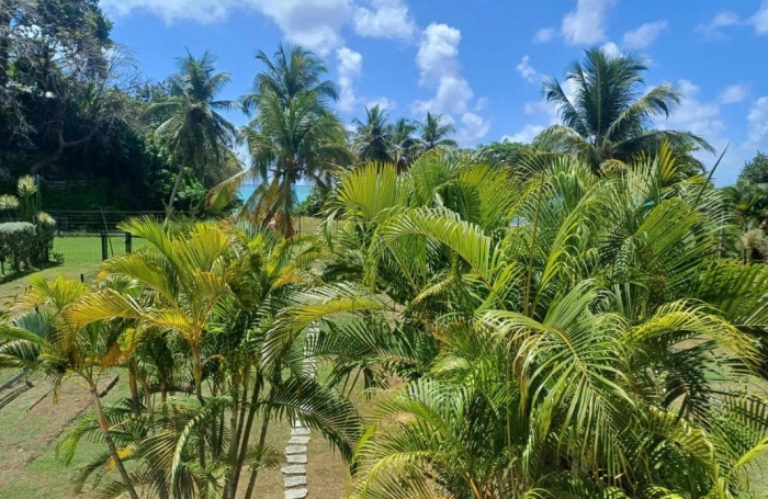 Vente Appartement 42.23m&sup2; 2 pi&#232;ces Gosier