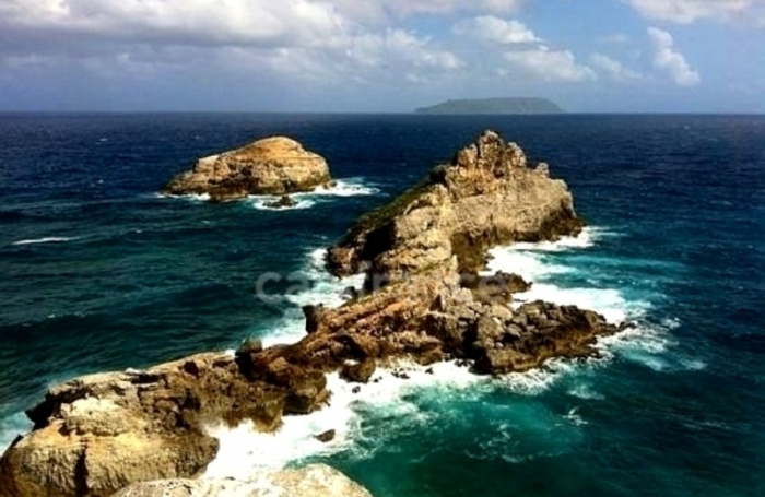 Vente Fonds de commerce 97118