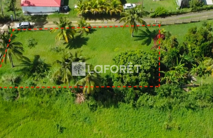 Vente Terrain 1171m&sup2; Lamentin