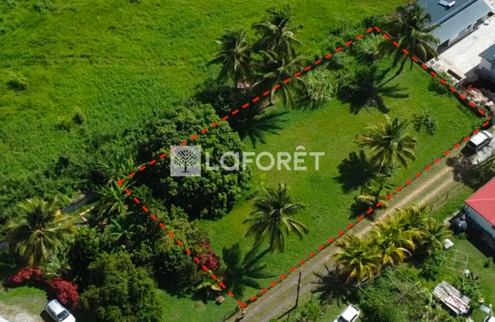 Vente Terrain 1171m&sup2; Lamentin