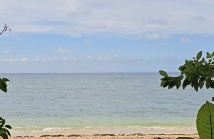 Vente Appartement 26m&sup2; 1 pièce Saint Louis