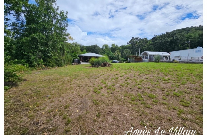 Vente Terrain 1043m&sup2; Deshaies