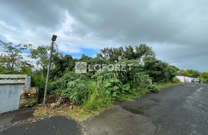 Vente Terrain 801m&sup2; Baie Mahault