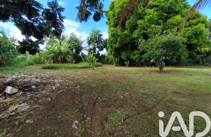 Vente Terrain 97115