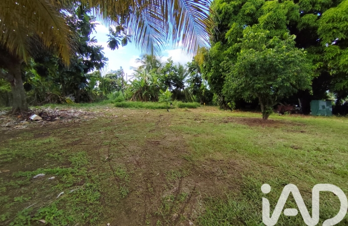 Vente Terrain 852m&sup2; Sainte Rose