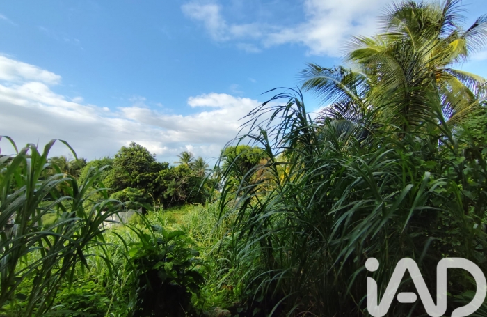 Vente Terrain 852m&sup2; Sainte Rose