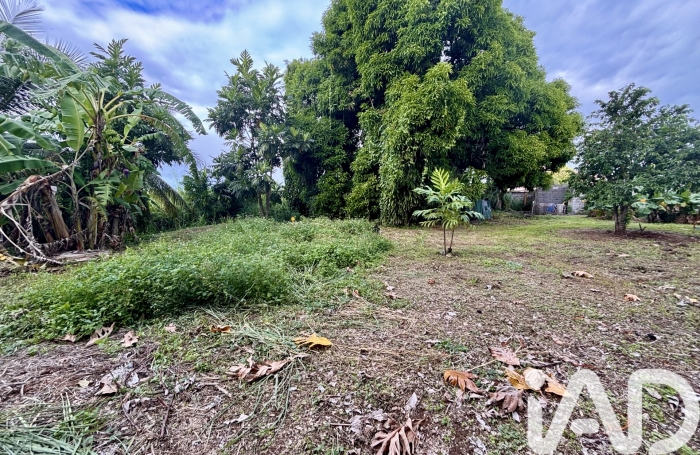 Vente Terrain 852m&sup2; Sainte Rose