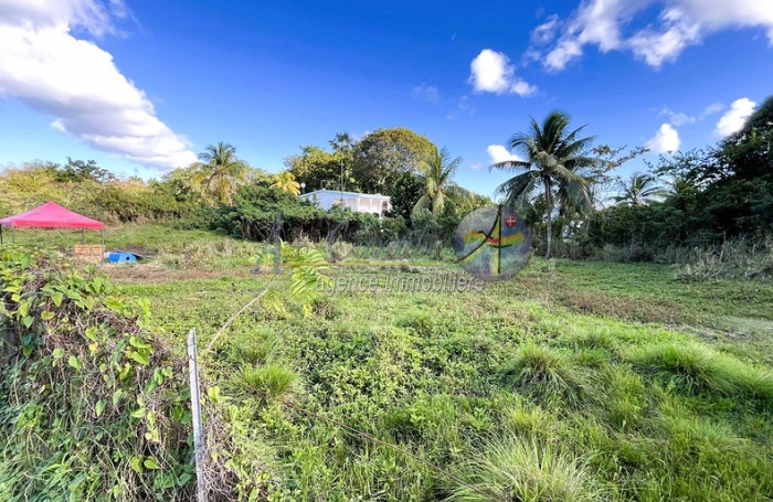 Vente Terrain 97160