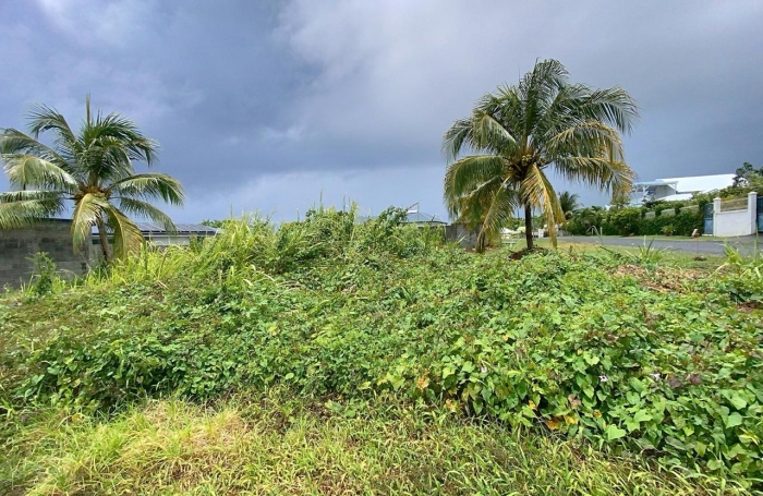 Vente Terrain 500m&sup2; Capesterre Belle Eau