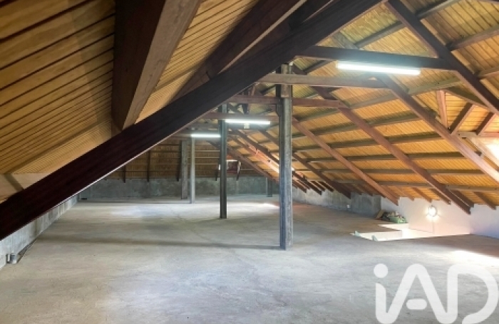 Vente Maison 503m&sup2; 10 pièces Gourbeyre