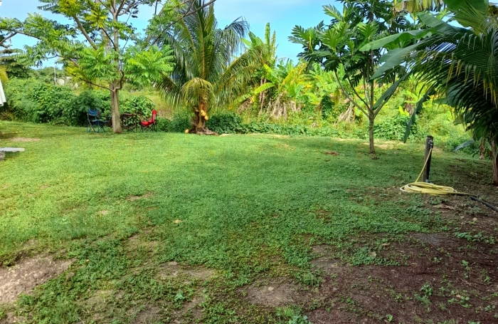 Location Maison 36m&sup2; 2 pièces Le Moule